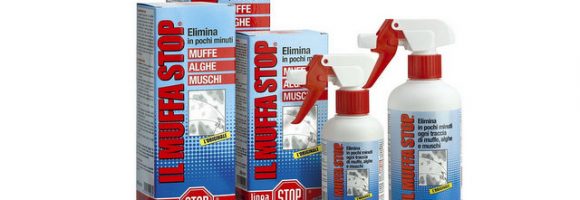 Muffa stop spray: il rimedio per eliminare e prevenire le muffe in casa