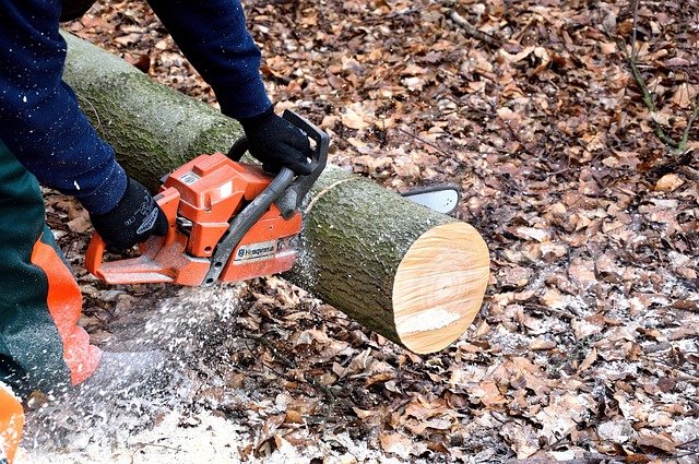 Guida alle tecniche di lavorazione del legno